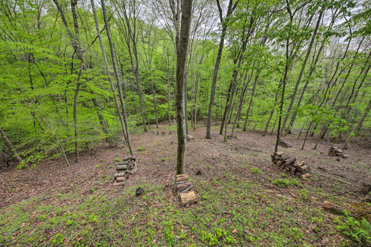 Peaceful Blue Ridge Cabin With Decks And Fire Pit エクステリア 写真
